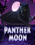 สูตรบาคาร่าเฮียหมู วิธีเล่นแบบง่ายๆ ใครก็เข้าใจ